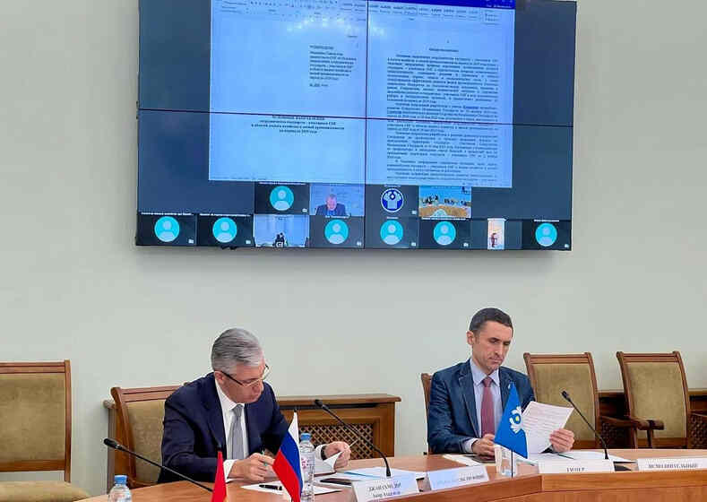 Направления сотрудничества государств СНГ в области лесного хозяйства